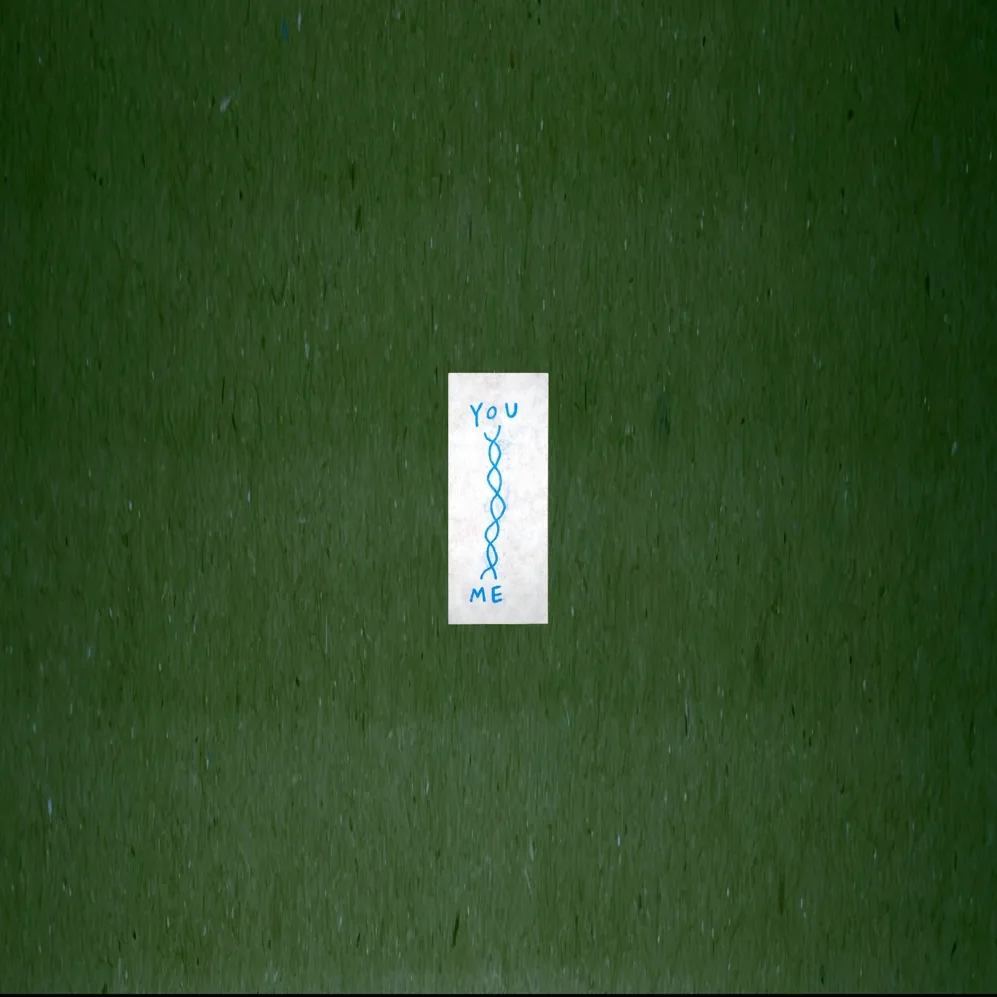 When You Go In Blind: Lorde Kicks off her Tour in Austin, Texas